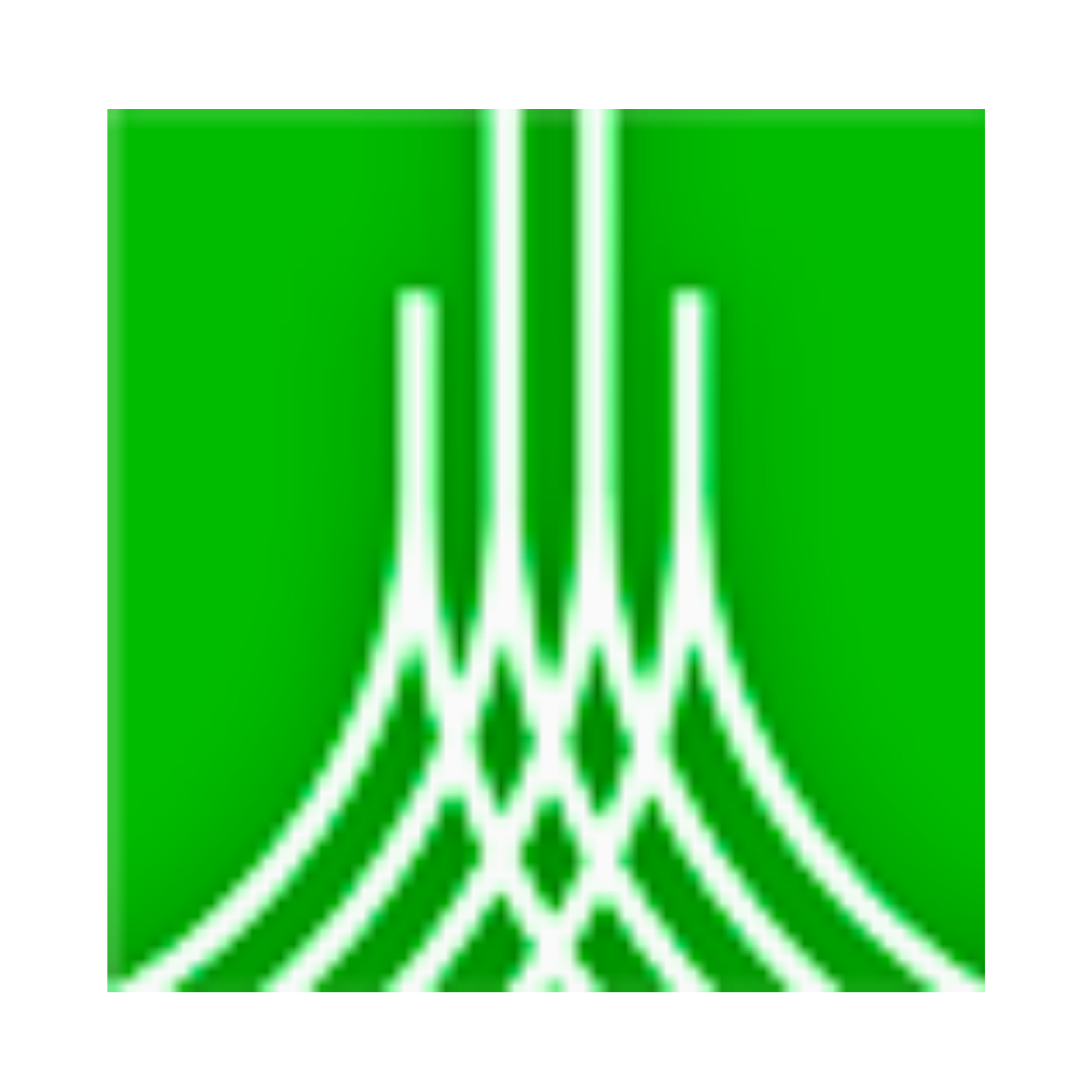 Apex Realty
